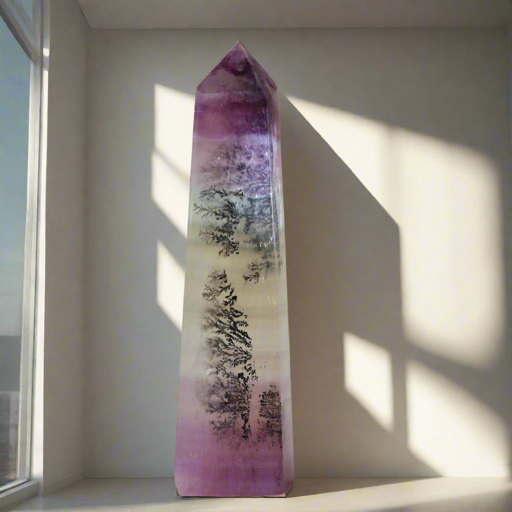 Fluorite with Dendrite Tower
Dendritic Fluorite Tower
Dendrite Fluorite Tower
fluorite
dendrite
Fluorite with Tree-like Inclusions
Sentient crystals