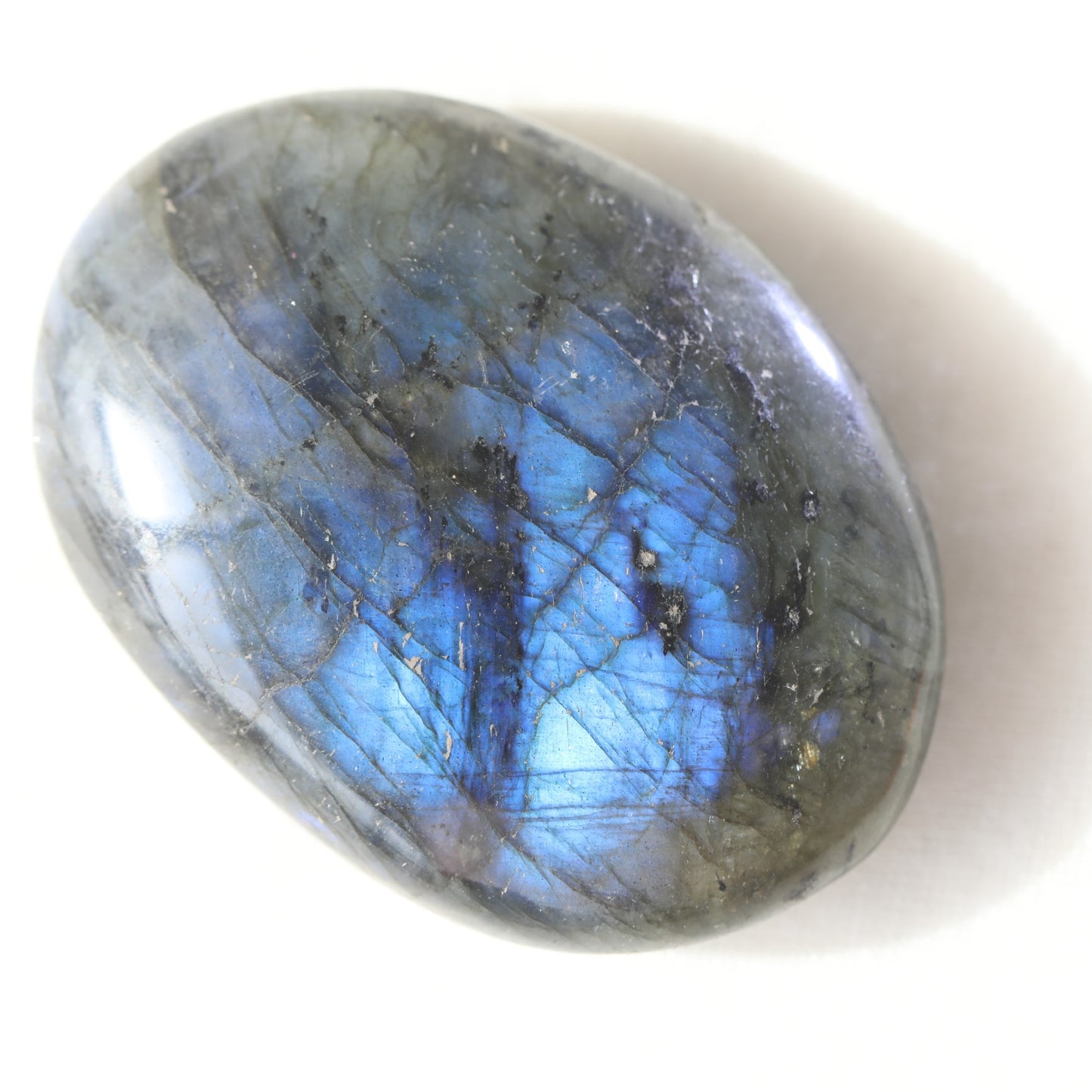 Labradorite Blue Flash Freeform
Freeform Labradorite Blue Flash
Labradorite Blue Flash Freeform Shape
Labradorite Freeform
Blue Flash Labradorite
Sentient crystals