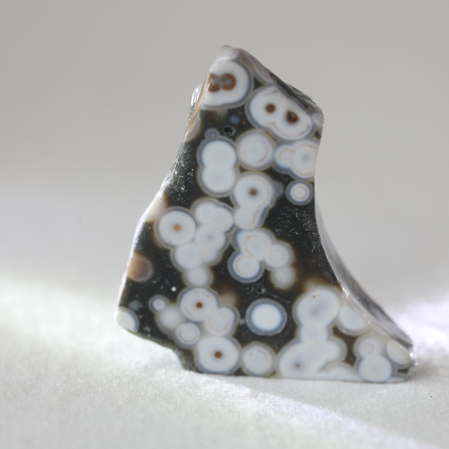 Ocean Jasper Raw Slab 99gm - Sentient Crystals - stone type - stone keywords