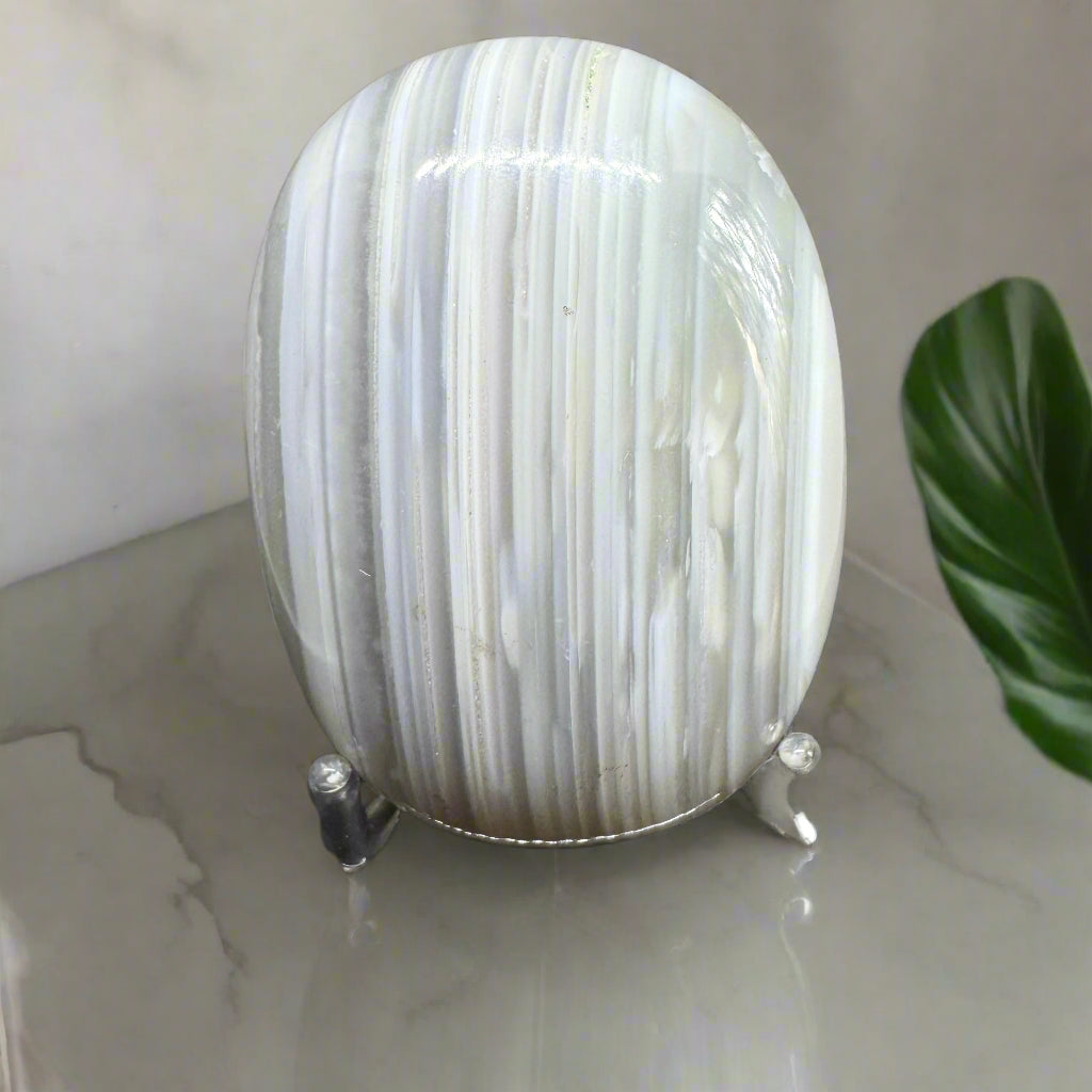 Botswana Agate Palm Stone 122.55gm