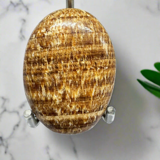 A polished Brown Aragonite Palm Stone with a smooth surface, displaying brown color variations, held in a clamp against a marble background.