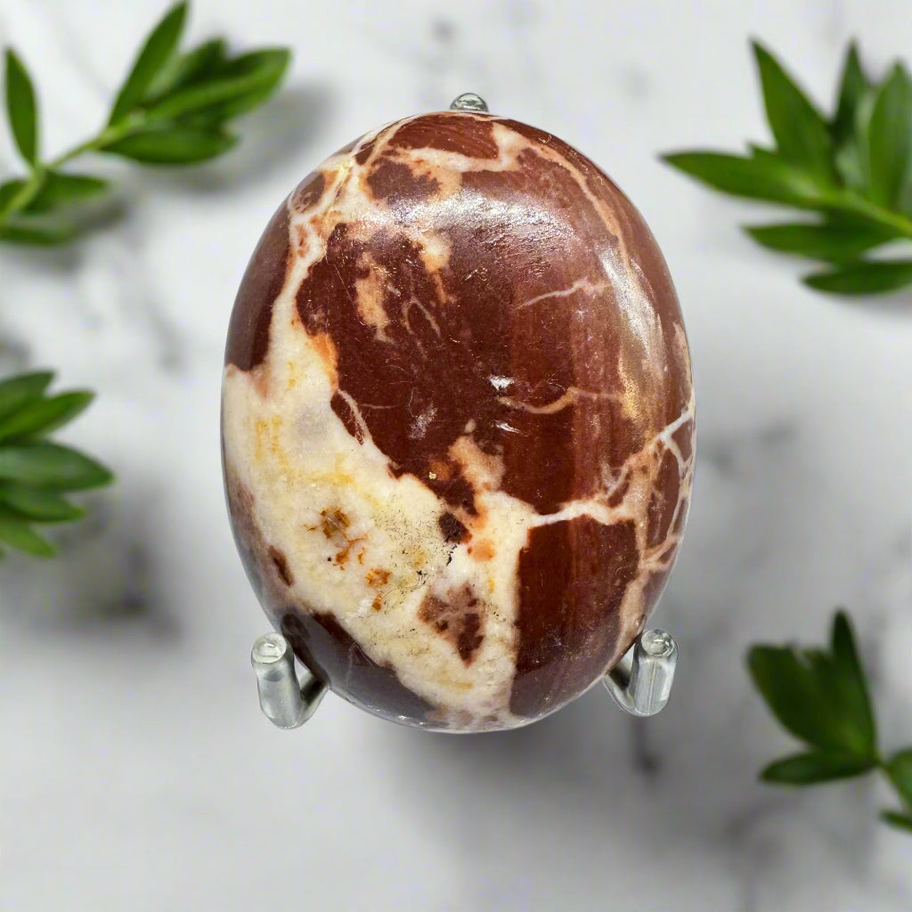 A polished Chocolate Jasper palm stone displayed on a stand, with a marble background and green leaves at the sides.