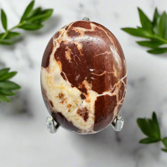 A polished Chocolate Jasper palm stone displayed on a stand, with a marble background and green leaves at the sides.