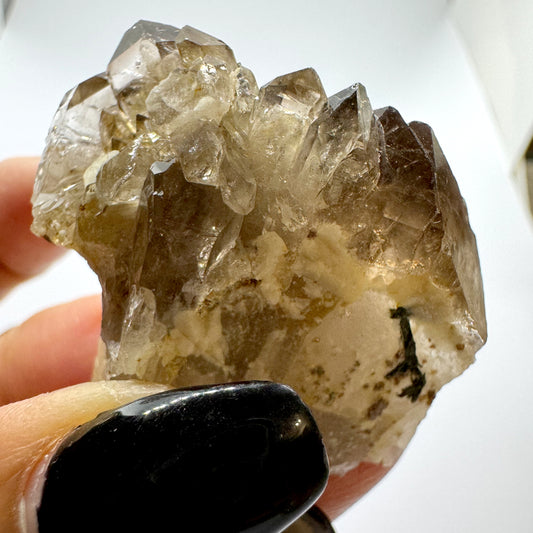 Smoky Quartz
Quartz Cluster
Crystal Cluster
Grounding Stone
Protection Stone
Stress Relief
Emotional Healing
Sentient Crystals
Record keeper
Cluster Formation