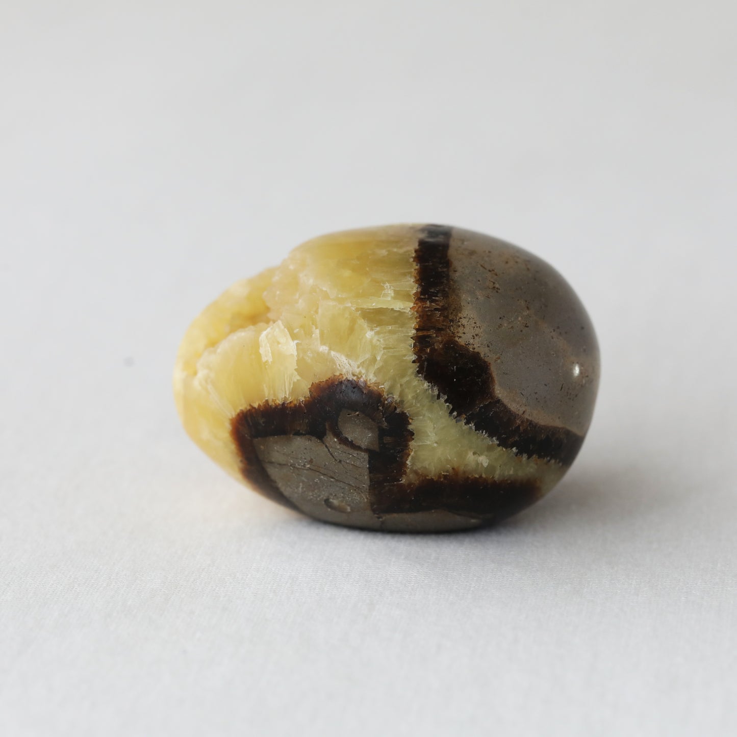 Septarian Druzy Egg 234.30gm - Sentient Crystals - stone type - stone keywords