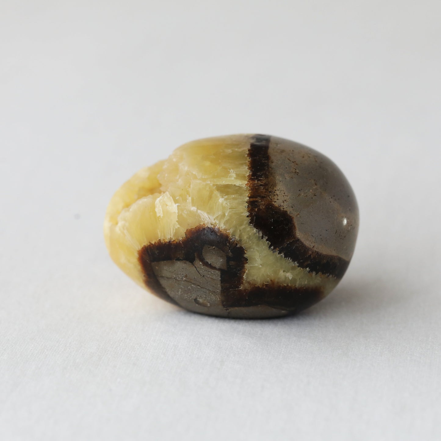 Septarian Druzy Egg 234.30gm - Sentient Crystals - stone type - stone keywords
