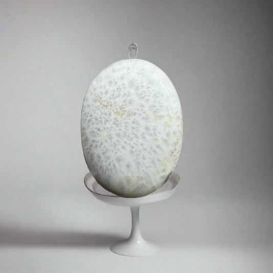 Scolecite palm stone
Scolecite healing stone
Scolecite crystal
Scolecite meditation stone
Polished Scolecite
Scolecite energy stone
Scolecite calming stone
Scolecite gemstone
Scolecite stress-relief stone
Scolecite polished stone
Scolecite spiritual crystal