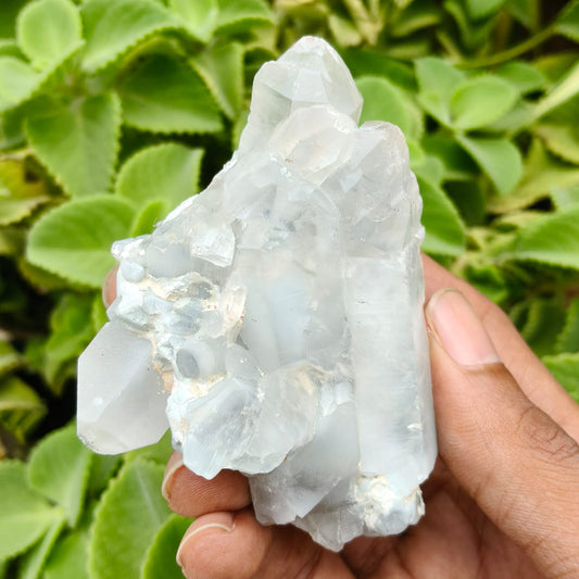 Hand holding a large crystal formation with green foliage in the background