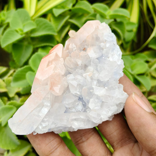 Hand holding a large crystal formation with green foliage in the background