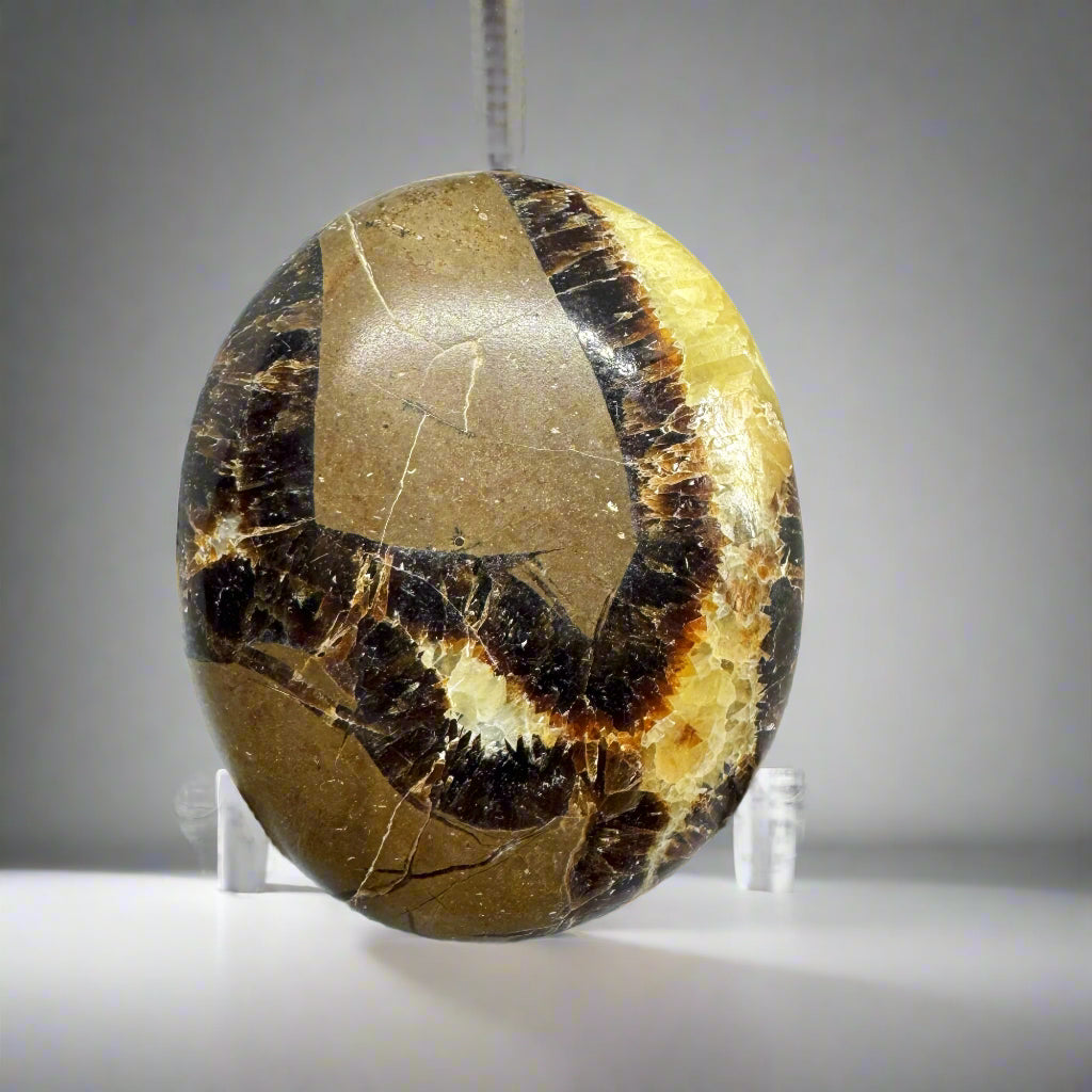 A polished yellow septarian palm stone with swirling patterns, displayed on a stand.