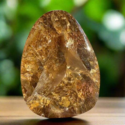 Golden Healer Quartz
Golden Quartz
Quartz Crystal
Polished Freeform
Healing Crystal
Energy Healing
Crystal Healing
Sentient crystals
freeform
healing cluster