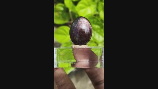 Bloodshot Sunstone Oval Freeform – Vitality & Confidence